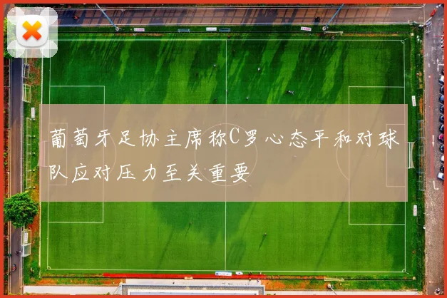 葡萄牙足协主席称C罗心态平和对球队应对压力至关重要